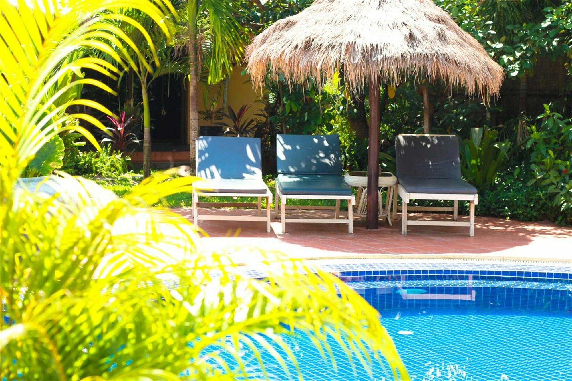The Secret Garden At Otres Beach シアヌークビル エクステリア 写真